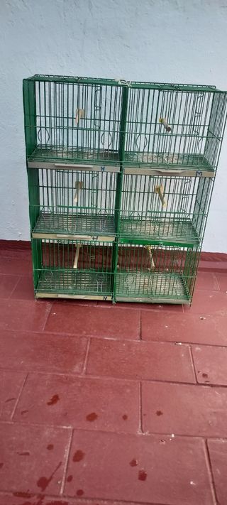 jaula pájaros lote no se hace envios