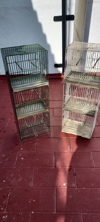 jaula pájaros lote no se hace envios
