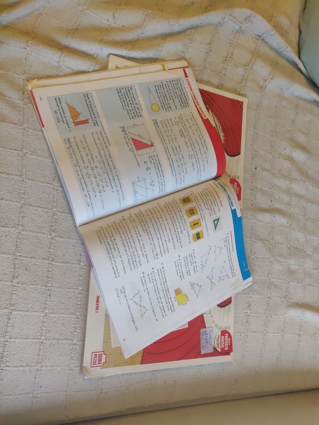 matemáticas orientadas a la enseñanza académicas 4