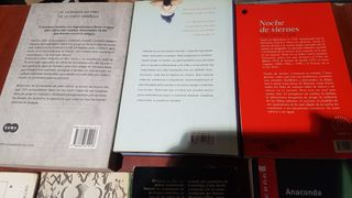 Novela, cuentos, autoayuda, Algoritmos y más....