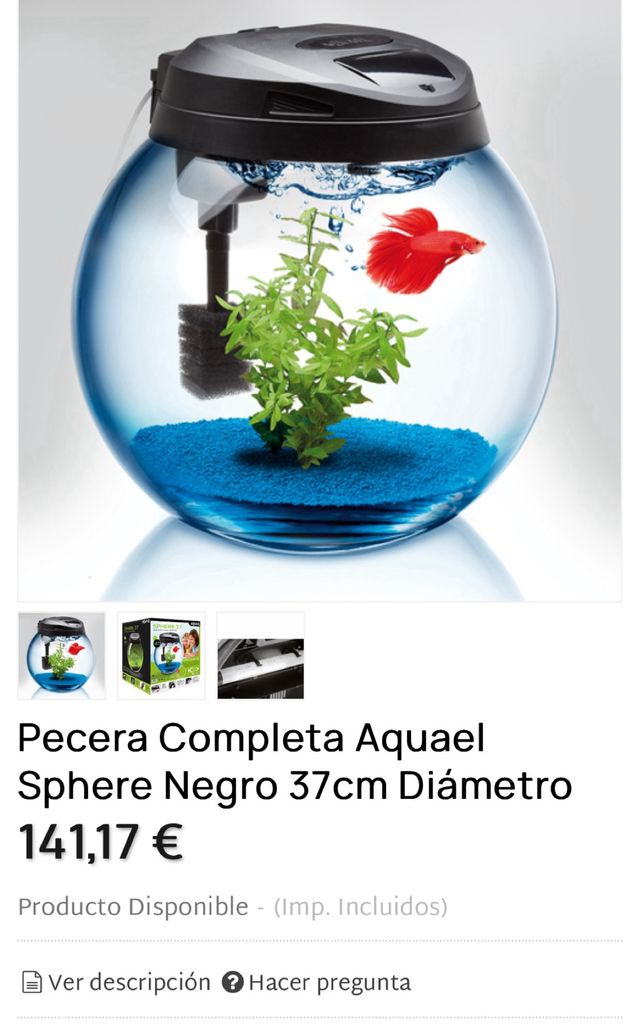 pecera (acuario) pequeña