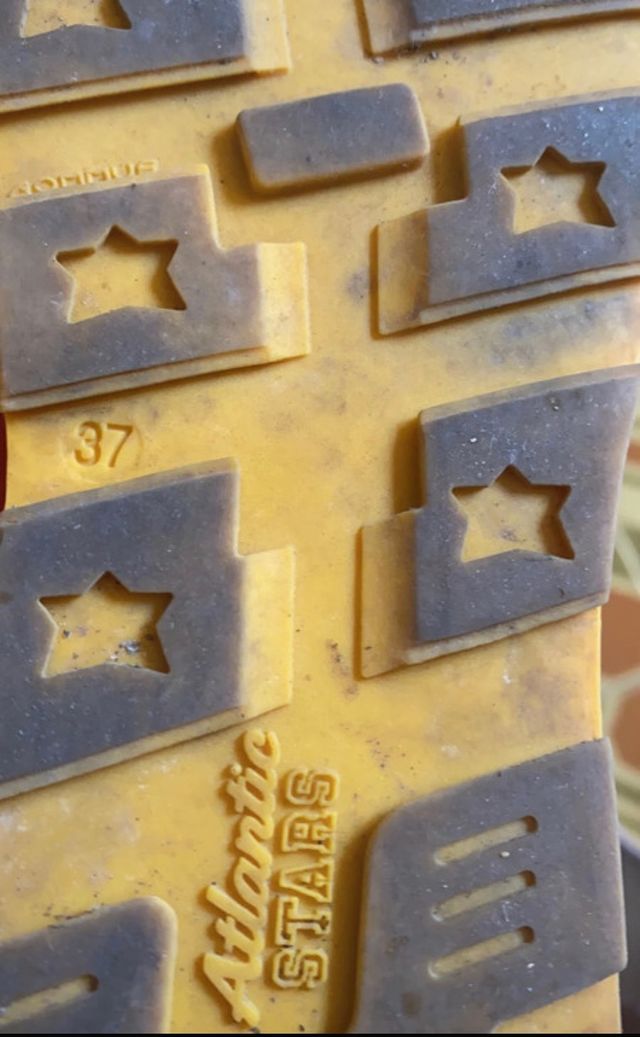 Sneakers Atlantic Stars