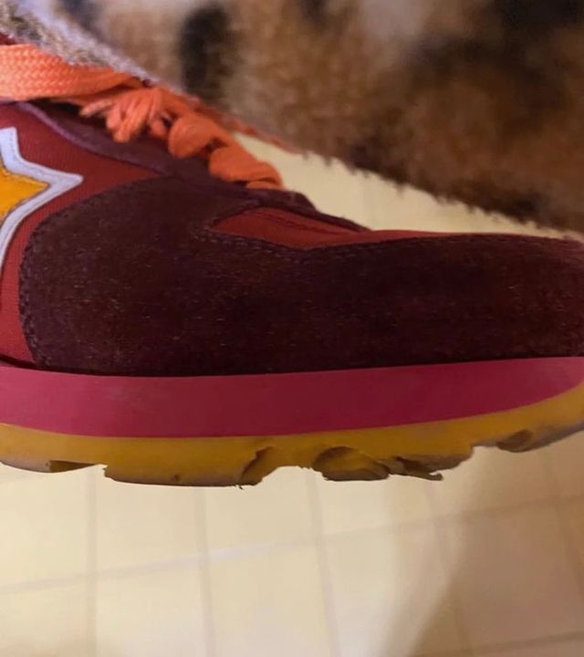 Sneakers Atlantic Stars