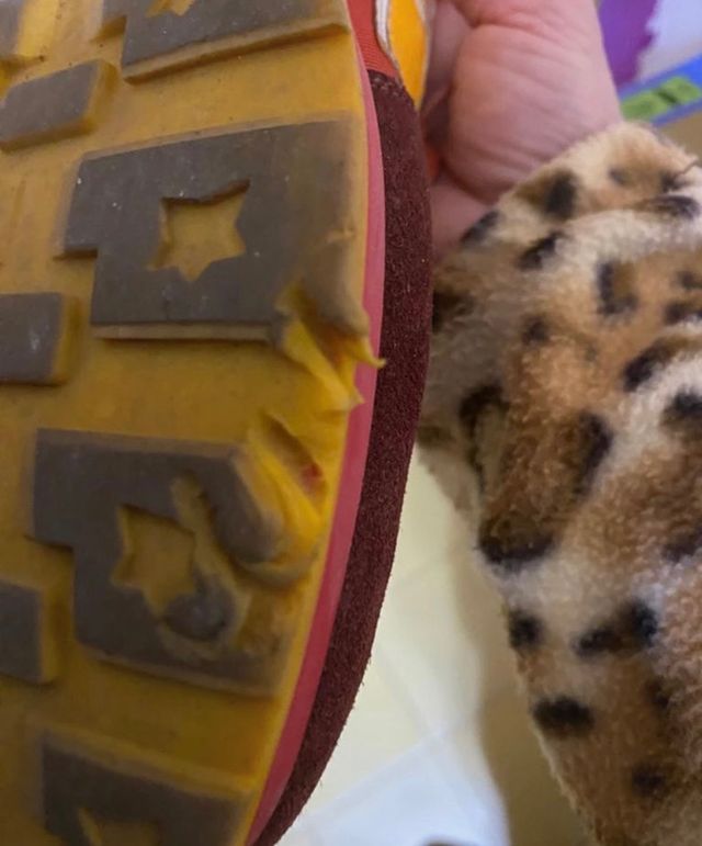 Sneakers Atlantic Stars