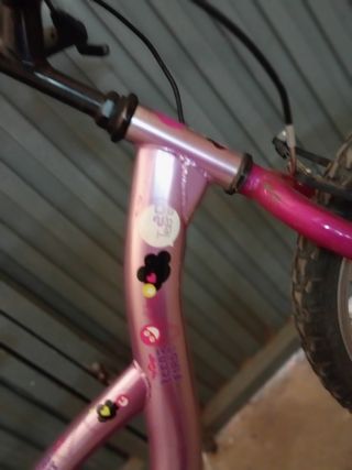 bicicleta juvenil, hasta 9-10 años