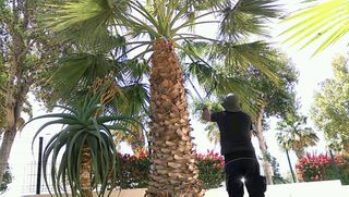 mantenimiento y jardinería.