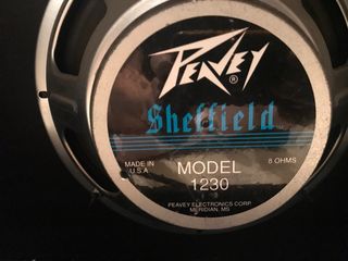 Amplificador PEAVEY REVOLUTION 112