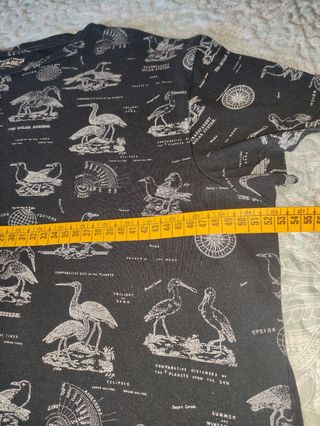 Camiseta chico.Pull&Bear.Talla M