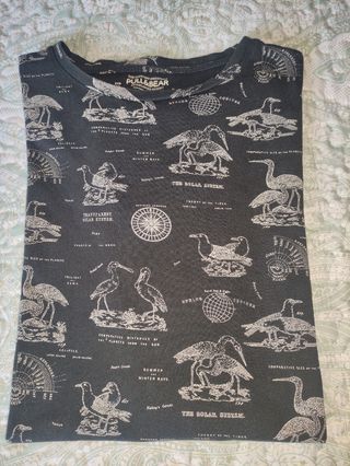Camiseta chico.Pull&Bear.Talla M