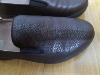 Zapato Fitflop serpiente estampado T37