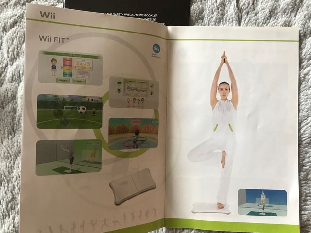 Wii fit