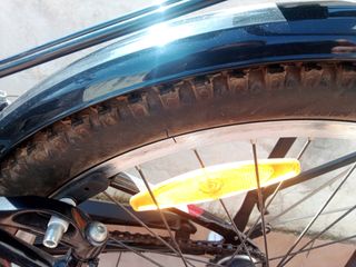 bici trek
