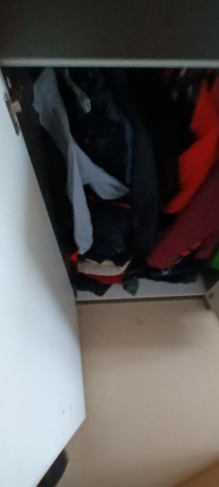 ☆☆LITERA TREN JUVENIL