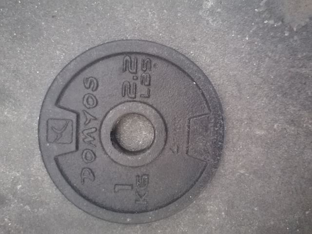 Dischi in ghisa domyos da 1kg e 2kg