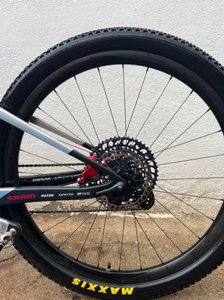 Scott spark rc word cup LTD-NINO EDITION