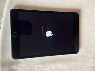 iPad mini 4 Wifi + Cellular