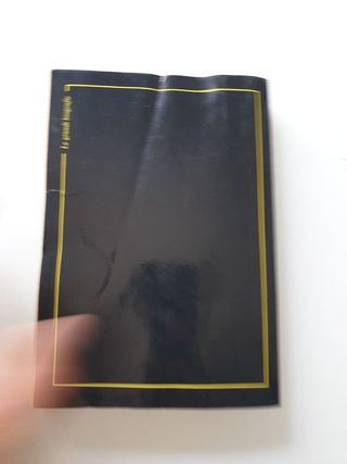 Libro  " l'ultima regina d'italia" peruzzo