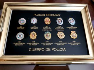 Placas Insignias Cuerpo Nacional de Policía (Pins