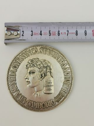 Moneda medalla Terry Camborio