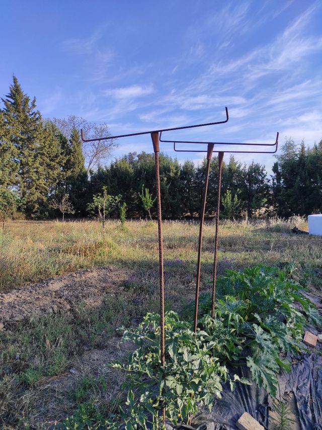 Barras de ferralla , varilla corrugada para planta