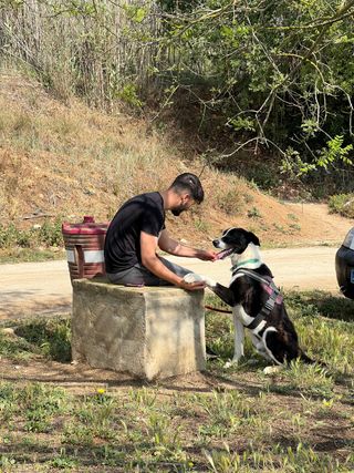 Cuidador de perros
