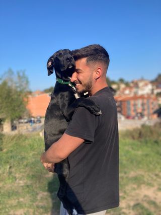 Cuidador de perros