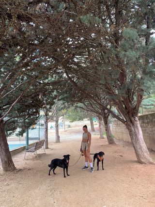 Cuidador de perros
