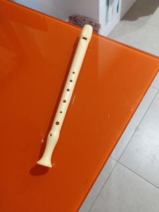 Flauta escolar