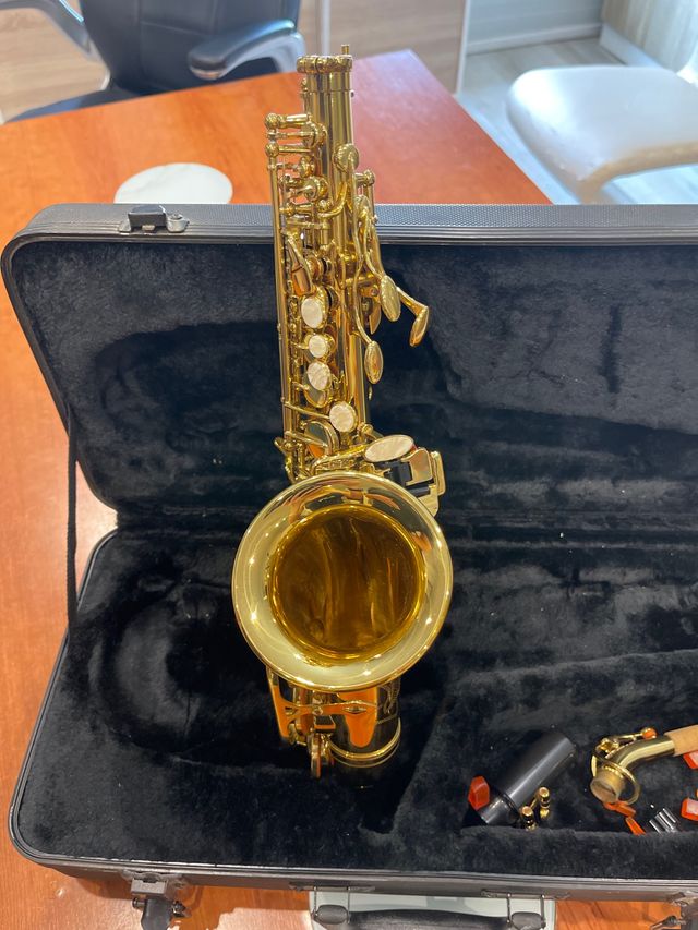 Saxofon Alto Stagg