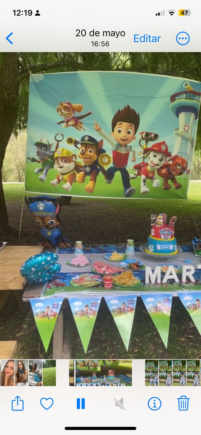 Toldo patrulla canina