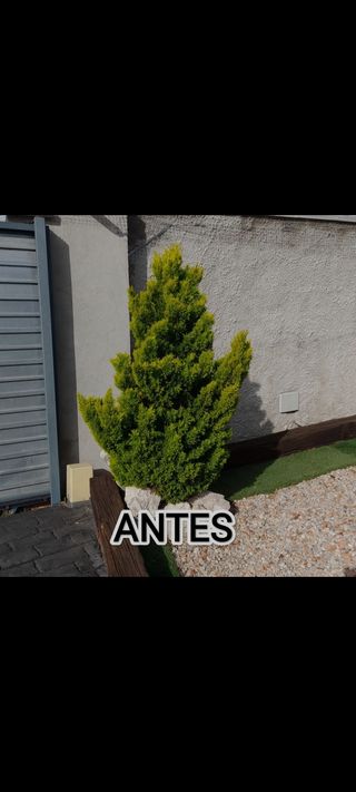 JARDINERO PRECIOS ANTICRISIS