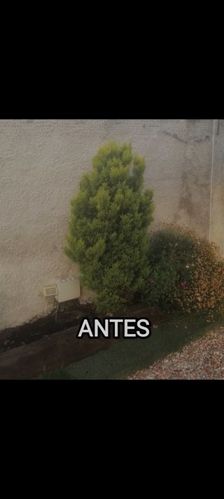 JARDINERO PRECIOS ANTICRISIS