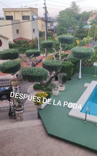 JARDINERO PRECIOS ANTICRISIS