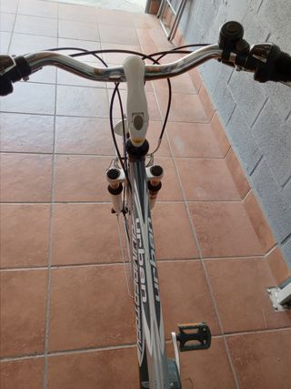 Bicicleta de paseo
