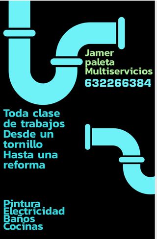 Paleta profesional 