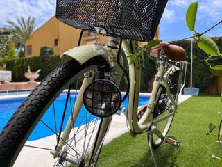 Bicicleta Holandesa Monty City 5