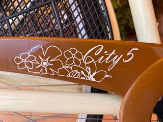 Bicicleta Holandesa Monty City 5