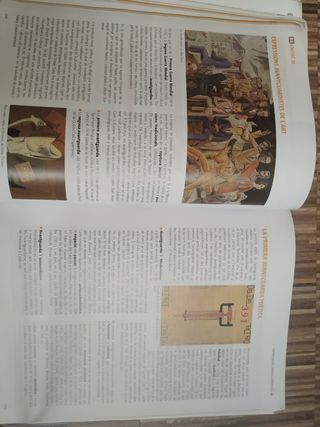 Llengua catalana i literatura