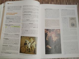Llengua catalana i literatura