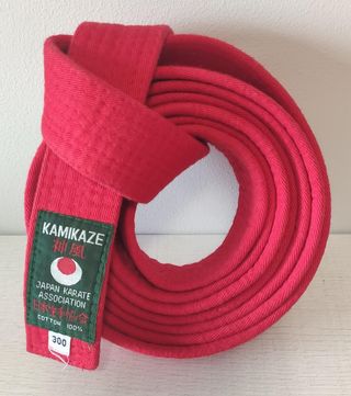 Protecciones  Karate Kamikaze rojas AKA Talla L