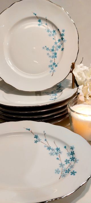 ⚜️Vajilla de Porcelana. Limoges. Francia.