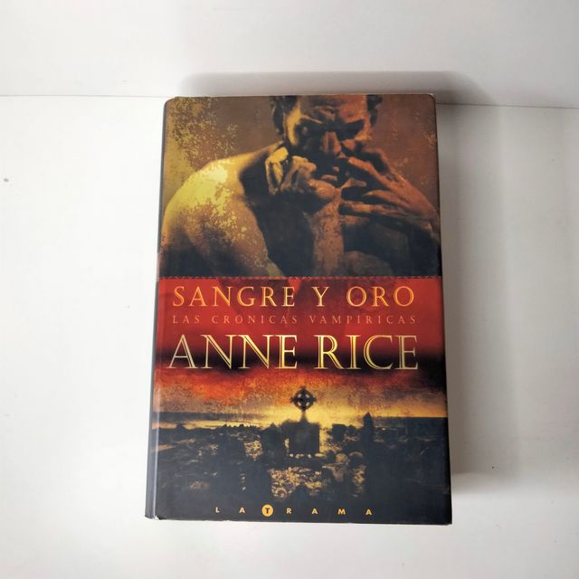 Lote 9 libros Anne Rice