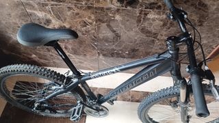 Saracen instintc 7005