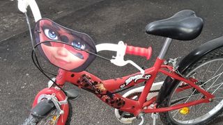 BICICLETA LADY BUG 20"