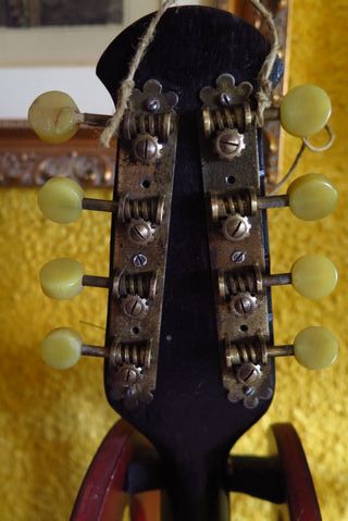 MANDOLINA /A-1 .PRINCIPIOS s.XX LAÚD/GUITARR