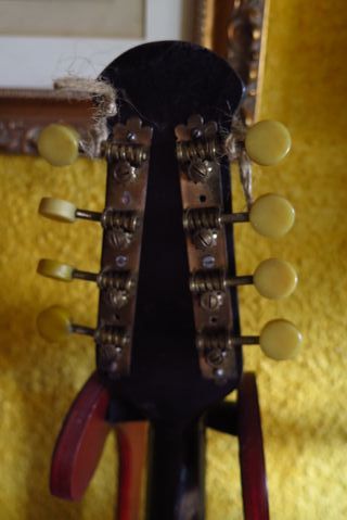 MANDOLINA /A-2 .PRINCIPIOS s.XX LAÚD/GUITARR