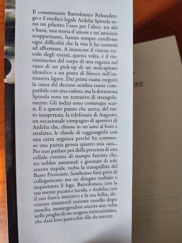 Cristina Rava - il tessitore