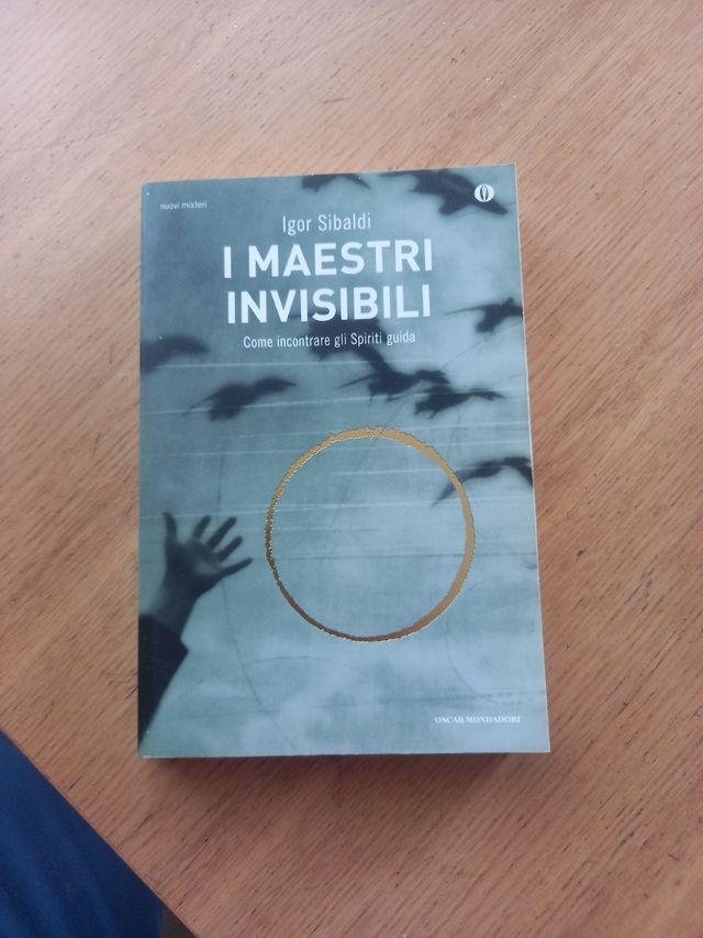 i maestri invisibili