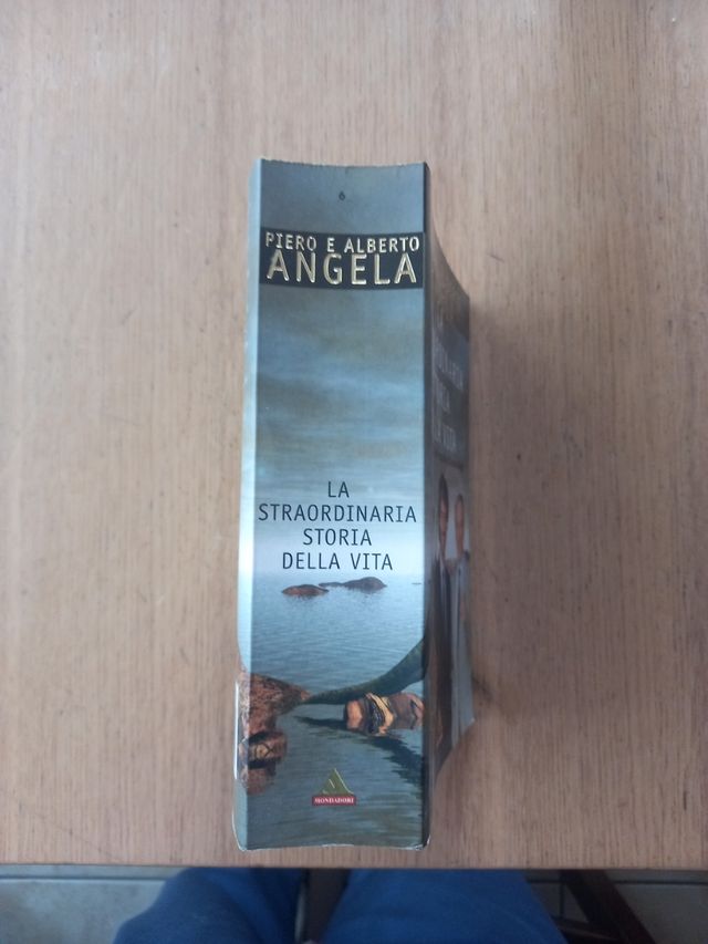 la straordinaria storia della vita