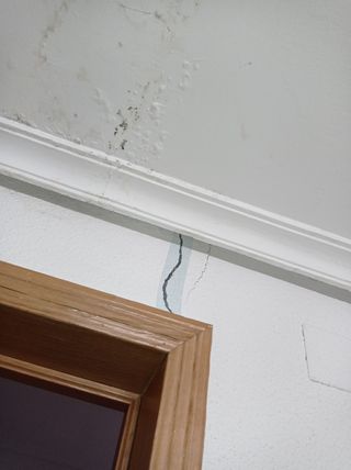 se ofrece pintor económico